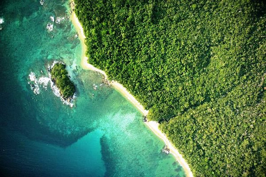 Masoala Forest Lodge主图