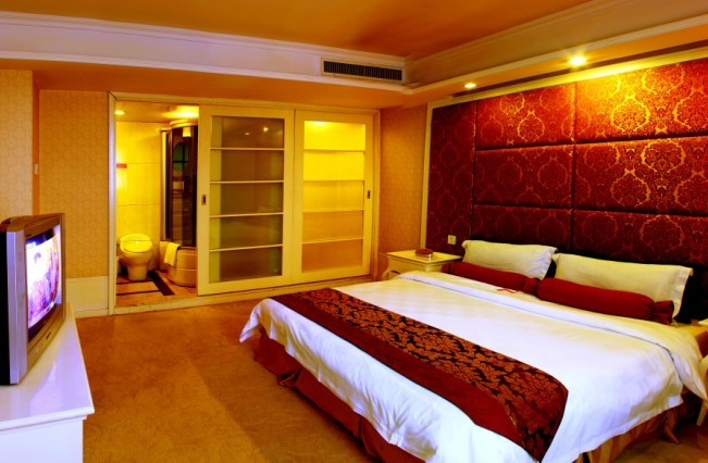 好来登大酒店主图