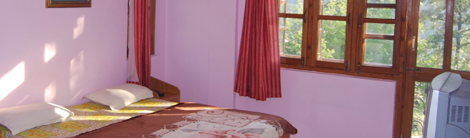 Treebo Trend New Spring View主图