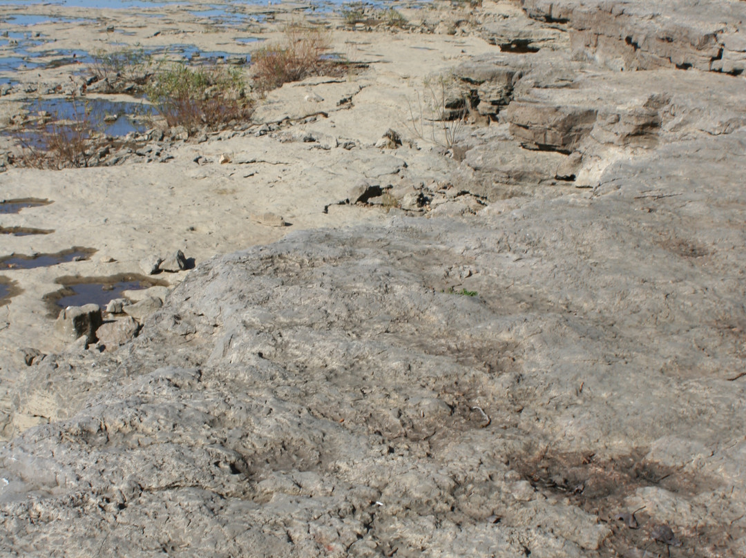 Falls of the Ohio State Park-Clarksville必去景点
