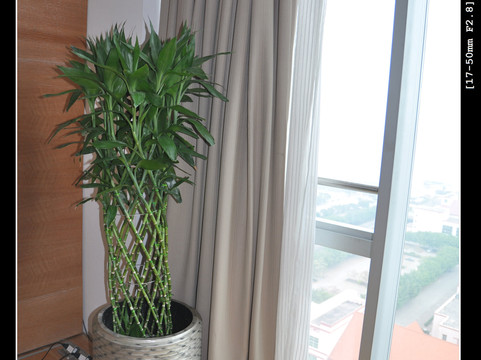 广州南沙珠江三角洲世贸中心大厦主图