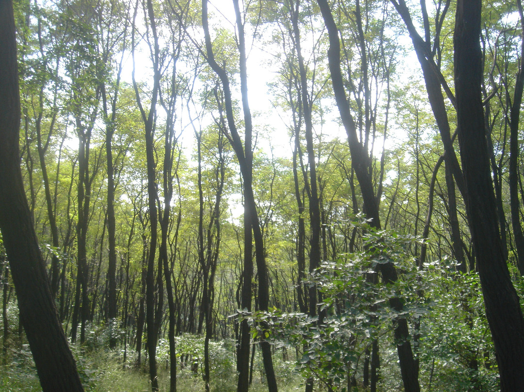 仰天山-青州市必去景点