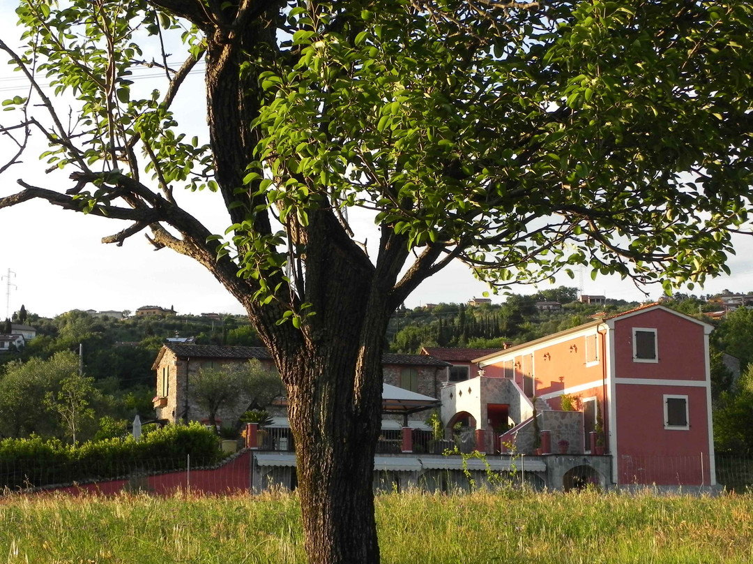 Il Giardino delle Esperidi主图