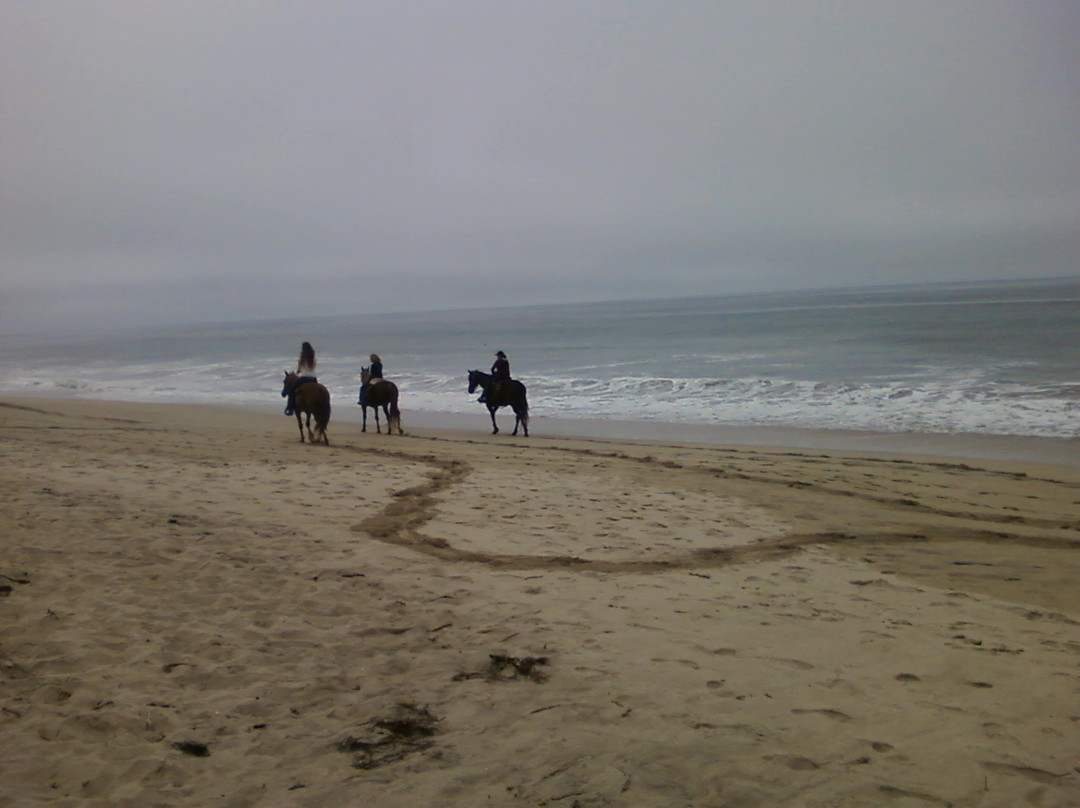 Poplar Beach-半月湾必去景点