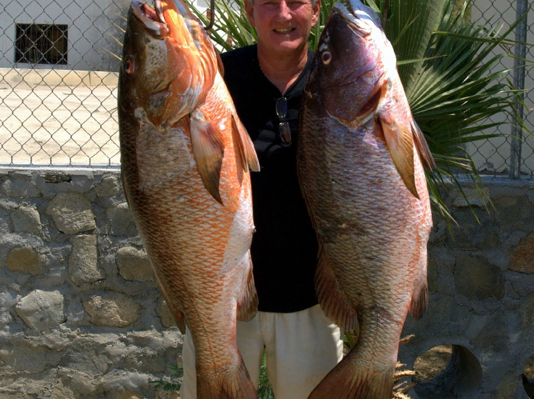 Martin Verdugo's Beach Resort主图