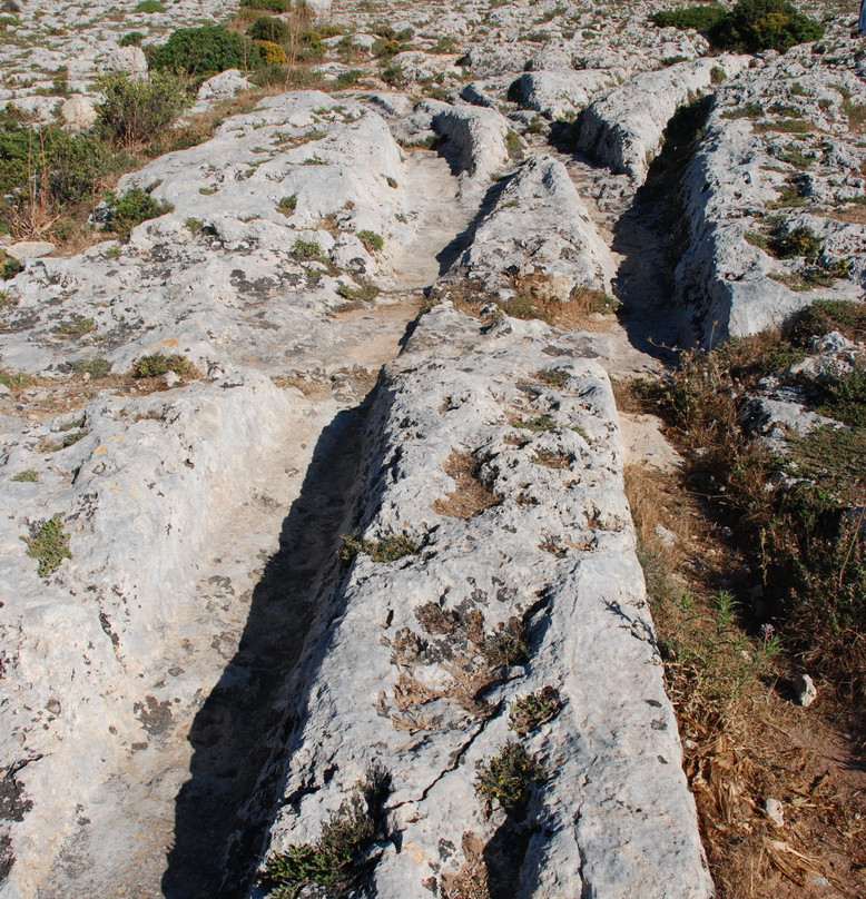 Dingli Cart Ruts (Clapham Junction) and Caves景点图片