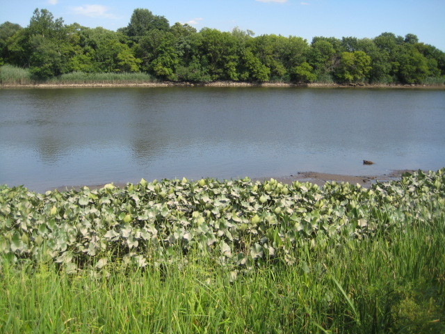 DuPont Environmental Education Center-威尔明顿必去景点