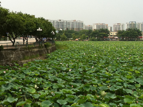 桥头三正半山酒店主图
