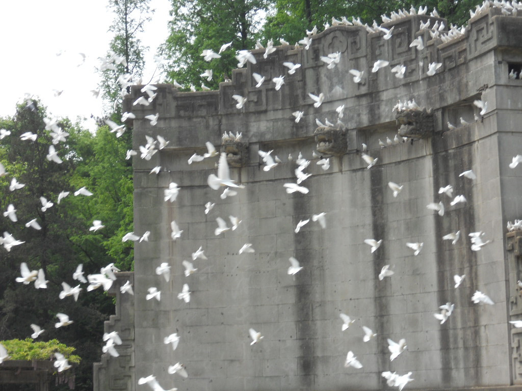 中山陵音乐台-南京市必去景点