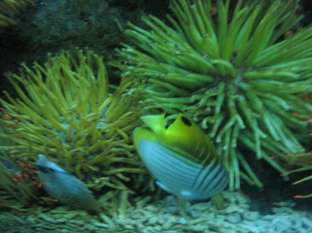 青岛海底世界-青岛市必去景点