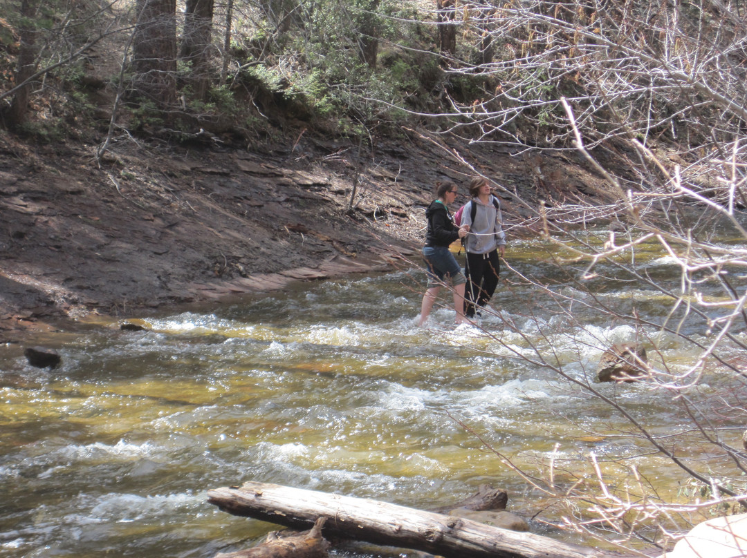 橡树溪峡谷-塞多纳必去景点