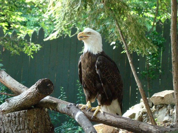 布什花园-威廉斯堡必去景点