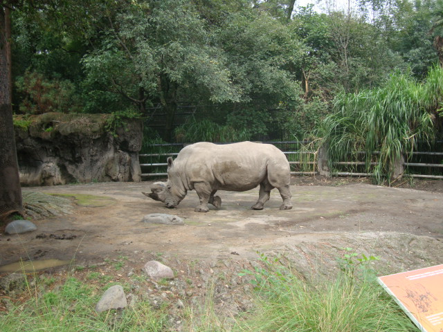 Parque Zoologico de Chapultepec景点图片
