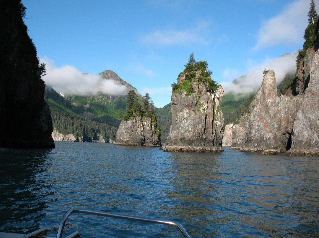 Alaska Saltwater Tours景点图片
