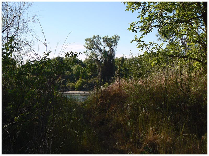 American River Parkway-沙加缅度必去景点