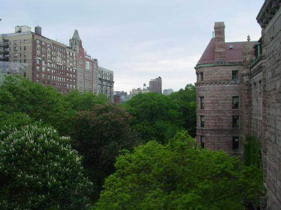 美国自然历史博物馆-纽约市必去景点