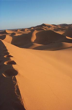 Merzouga Dunes-伊拉悉迪亚必去景点