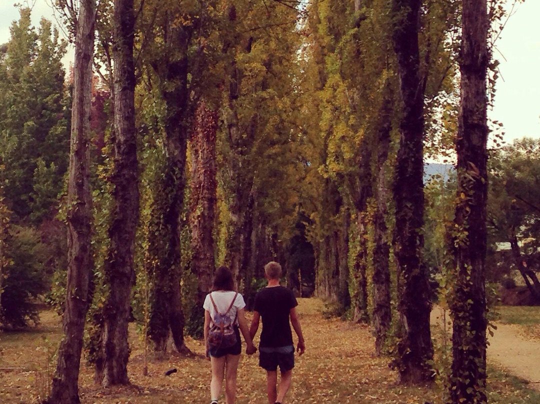 Canyon Walk-布赖特必去景点