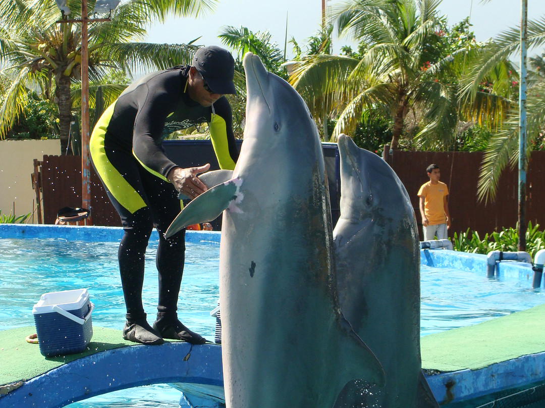Waterland Mundo Marino-潘帕塔尔必去景点