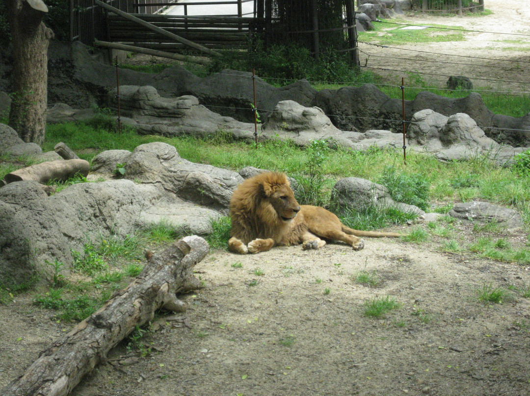 Tobe Zoological Park of Ehime Prefecture-砥部町必去景点