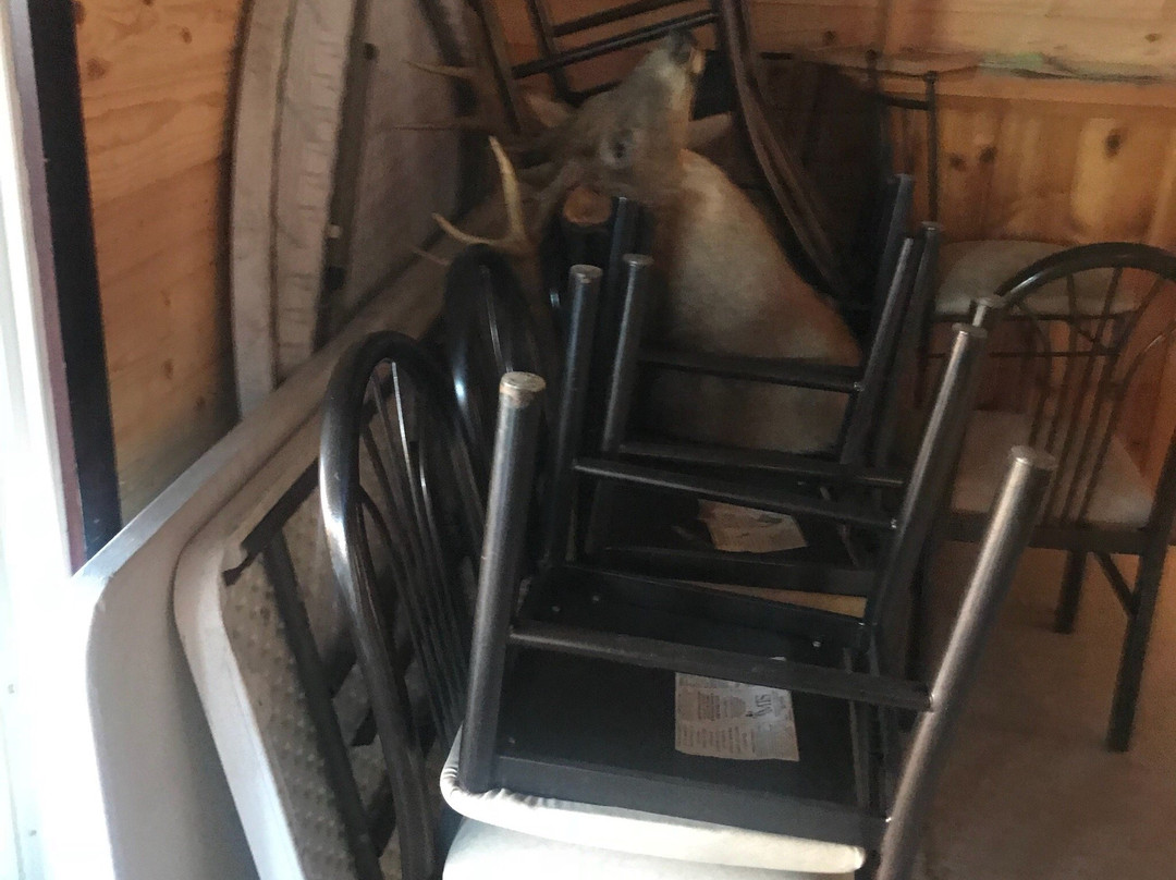 Bigfork Wilderness Bar