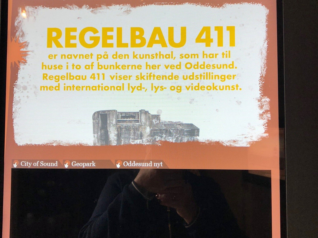 Regelbau 411景点图片