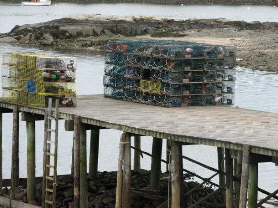 Bernard旅游攻略图片