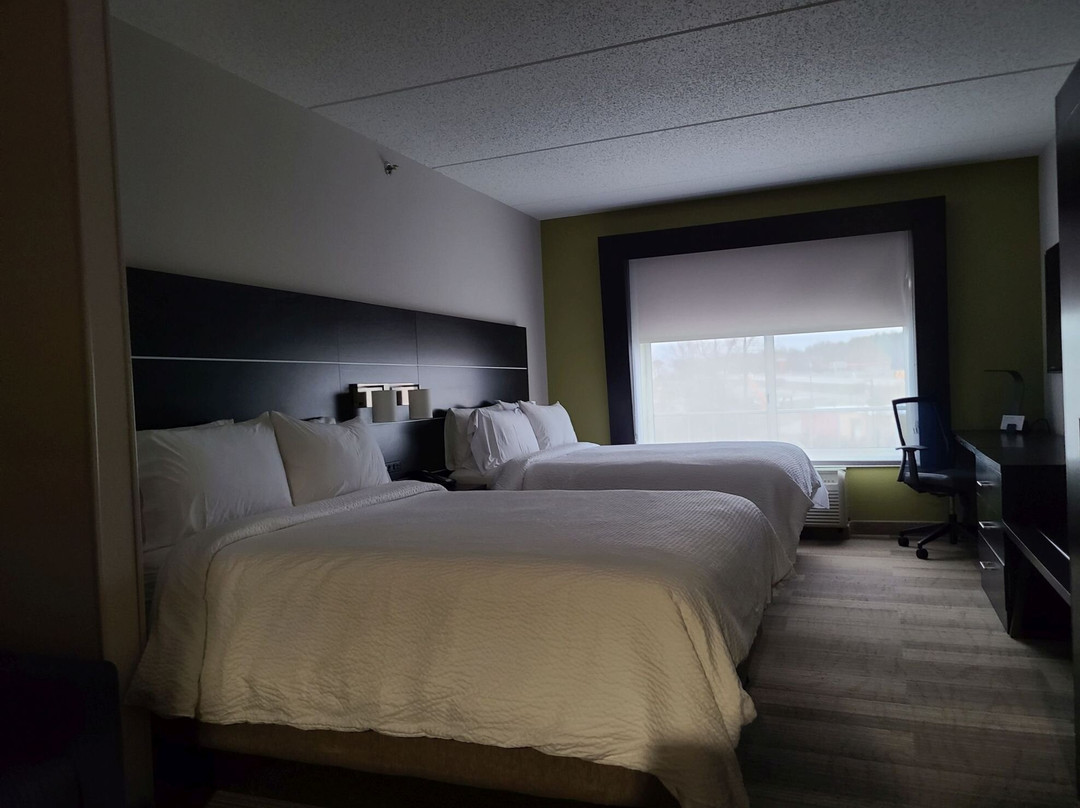 北斯巴达伯格快捷假日&套房酒店主图