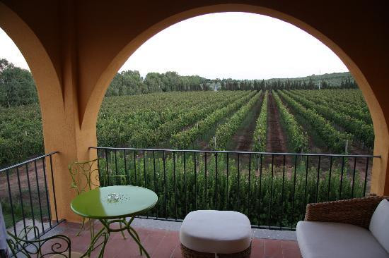 Azienda Agricola Leda' d'Ittiri-阿尔盖罗必去景点
