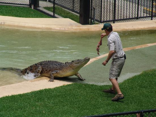Australia Zoo-Beerwah必去景点