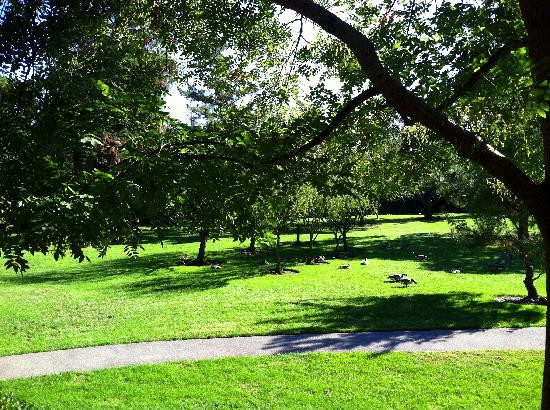 日本友谊公园-圣何塞必去景点