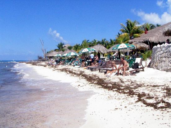 Playa Palancar Cozumel Beach Club-考祖梅必去景点