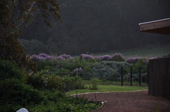 Cape Wine and Leisure Tours-斯泰伦博斯必去景点