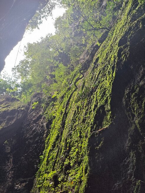 Wildlife And Jungle Adventure - Ecofoot景点图片
