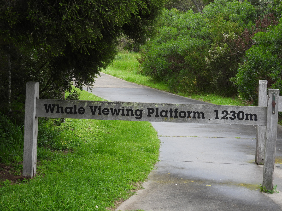 Hopkins River Lookout-瓦南布尔必去景点