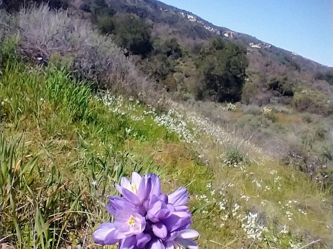 Ronald W. Caspers Wilderness Park-San Juan Capistrano必去景点