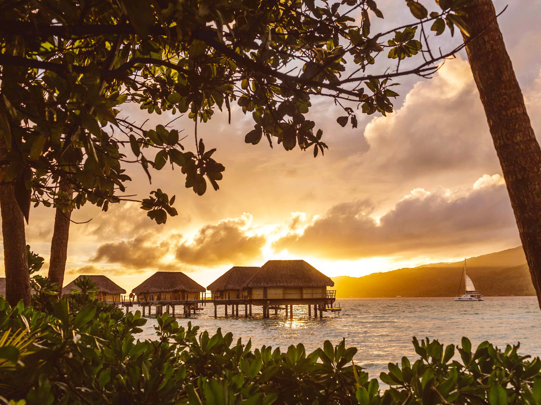 乐塔哈岛度假加Spa酒店