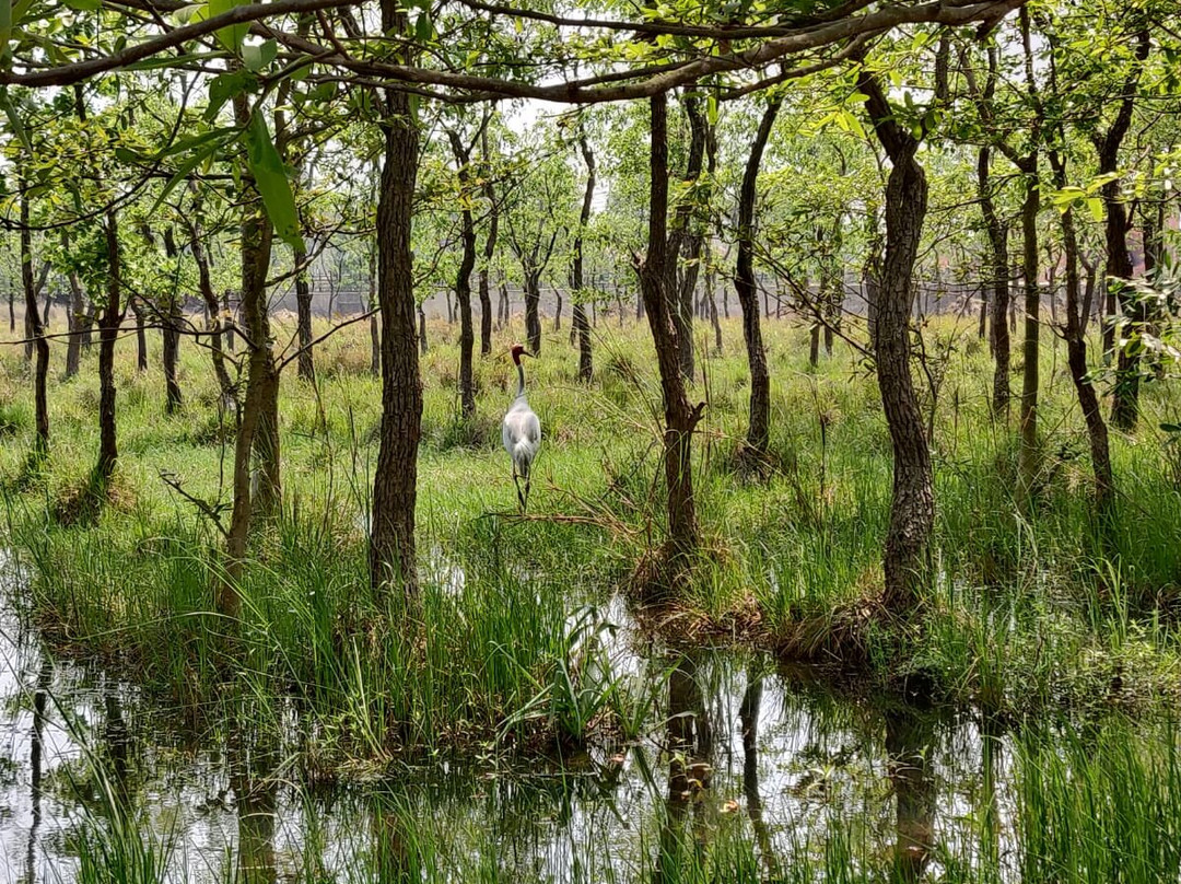 Lumbini Hokke Hotel主图