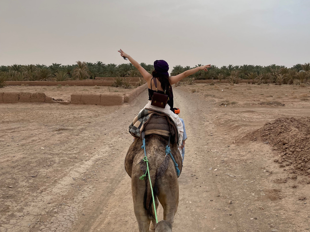 Al Desierto Con Omar-马拉喀什必去景点