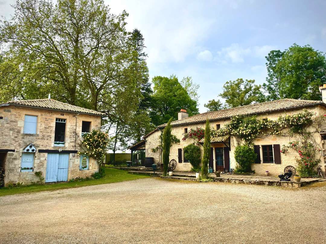 Le Petit Moulin主图