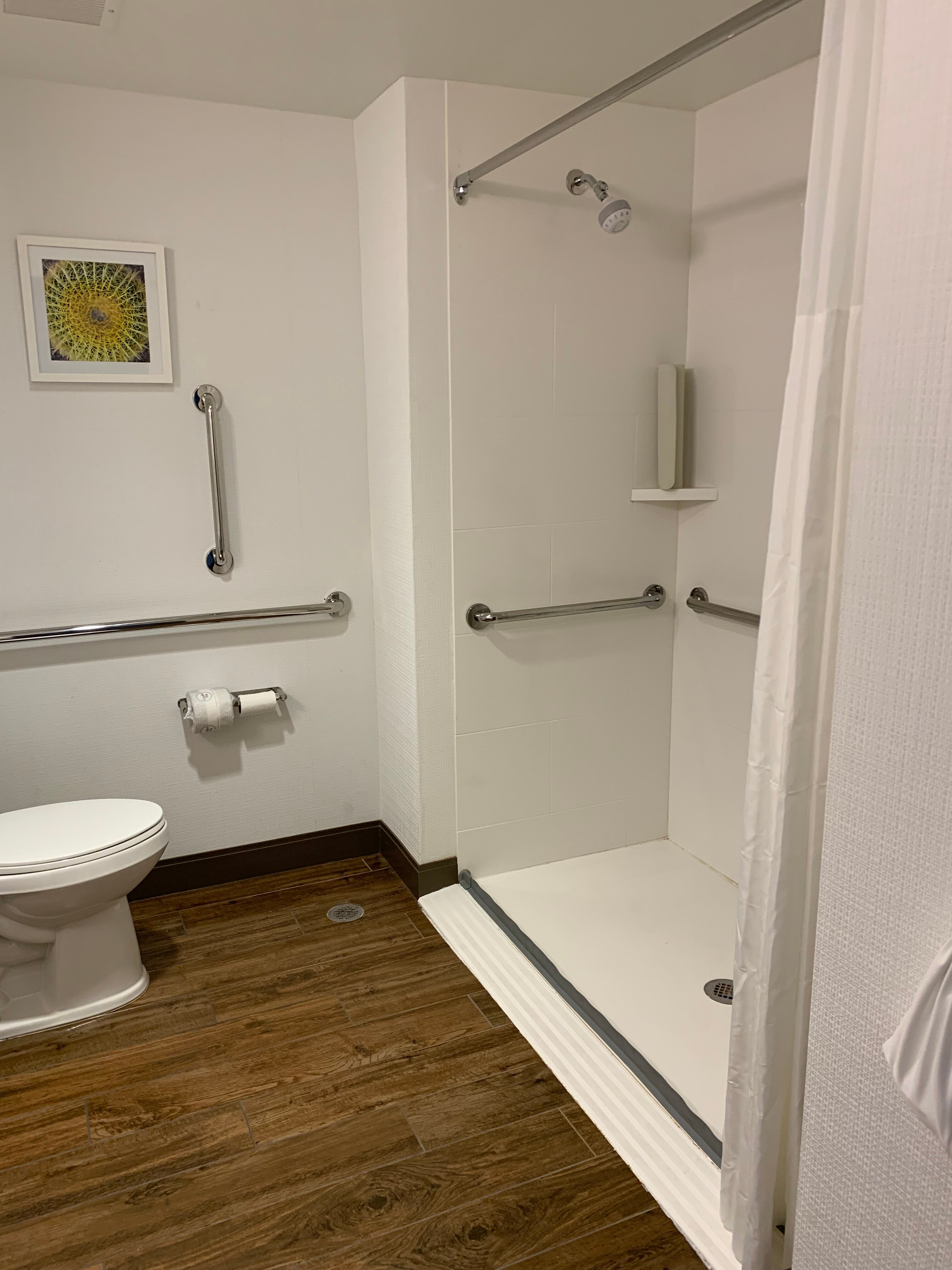 Hampton Inn & Suites St. George SunRiver-浴室