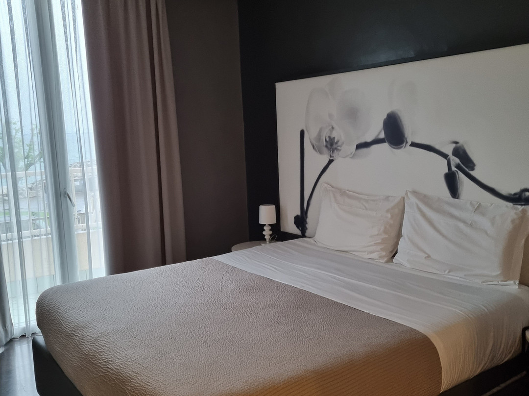 Hotel Vittorio主图