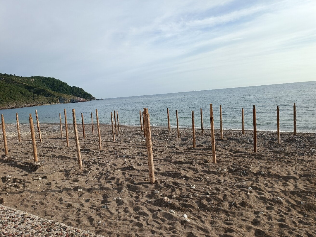 Pearl Beach Hotel
