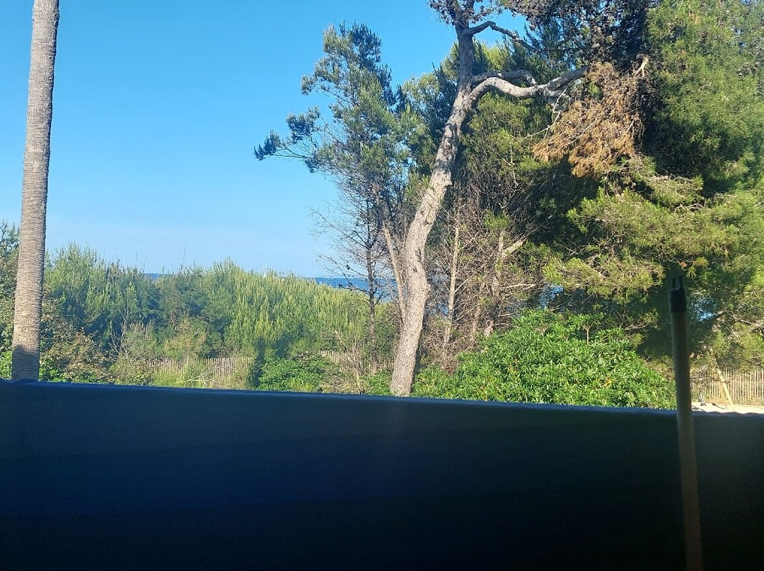 Pierre & Vacances Residence La Pinede主图