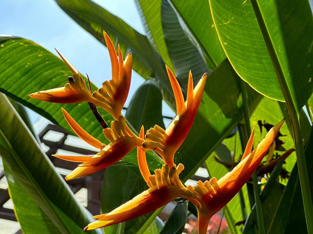 Anandathu Villas主图