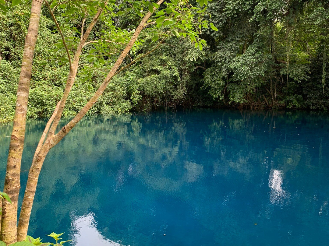 Matevulu Blue Hole-埃斯皮里图桑托岛必去景点