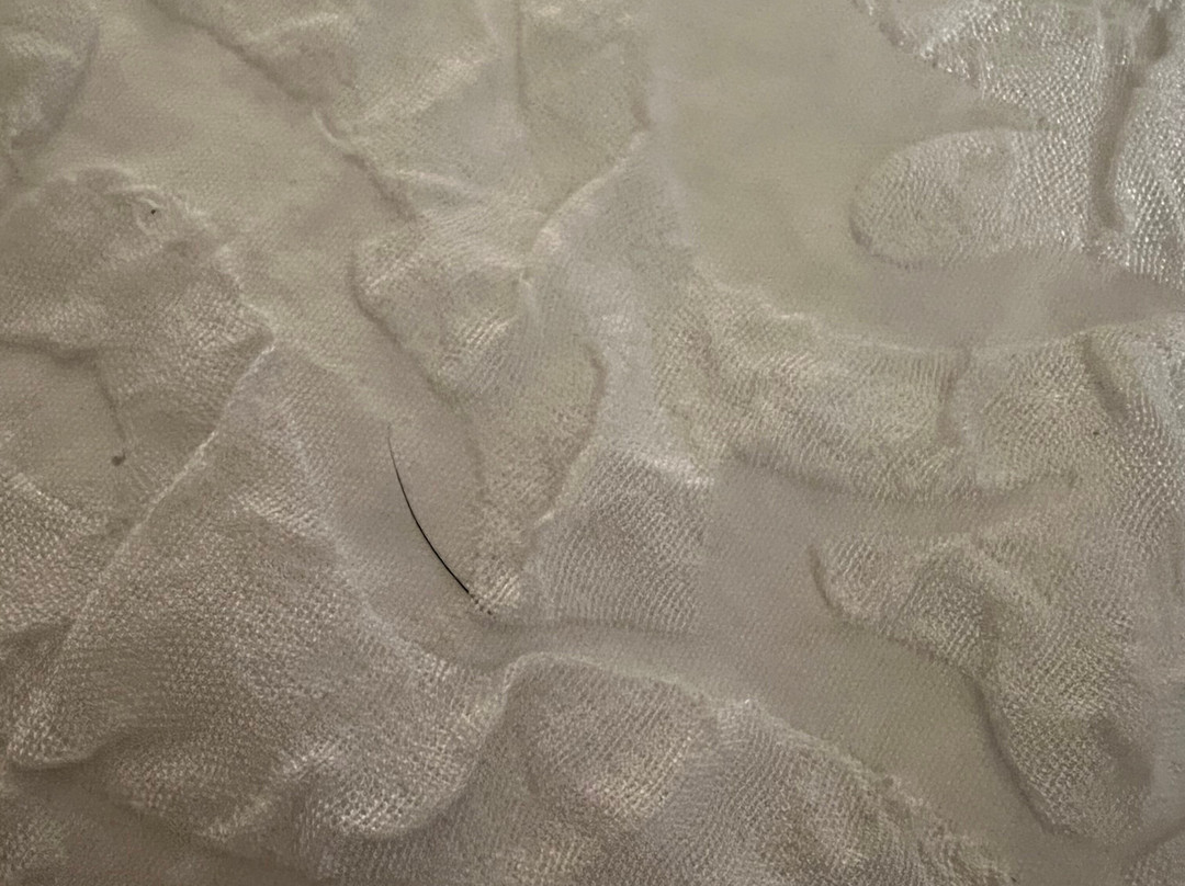 Hampton Inn & Suites Phoenix Tempe主图