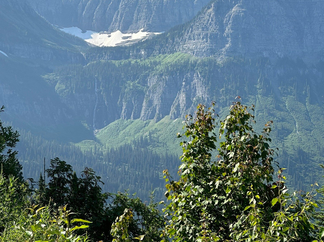 Glacier Institute景点图片