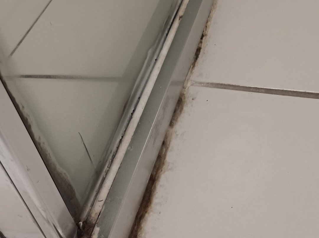 旧梅特兰酒店主图