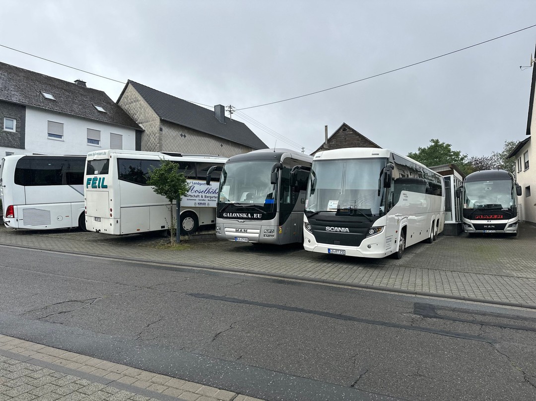 Landgasthaus Moselhoehe主图